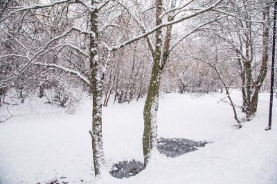 Прикрепленное изображение: IMG_7538.jpg